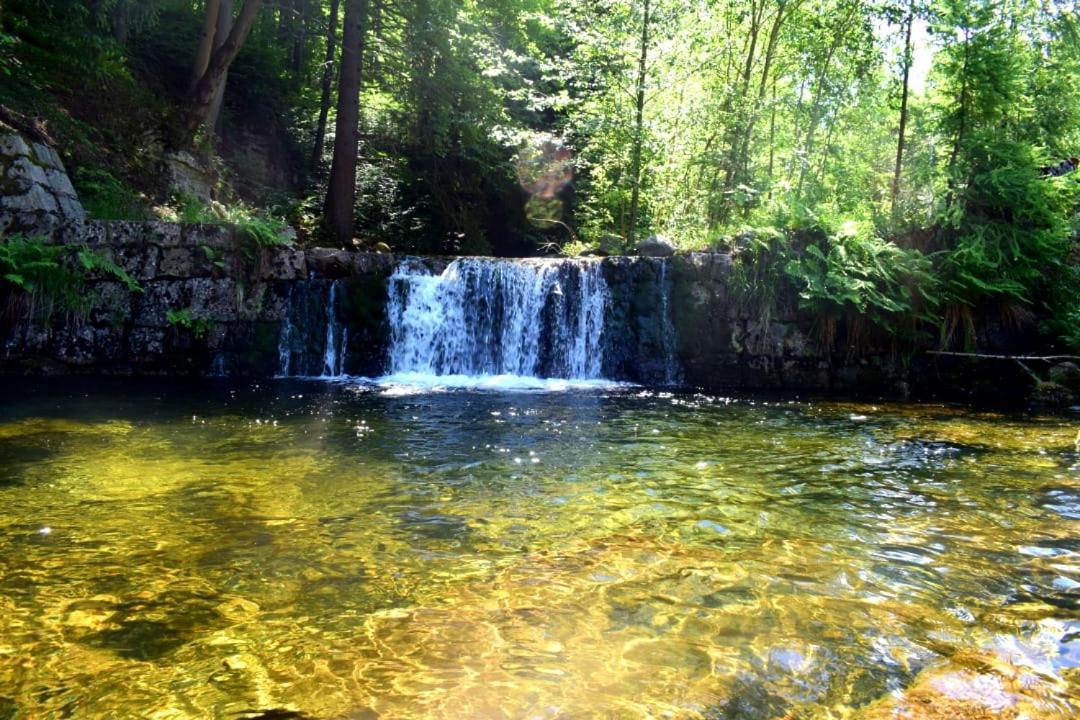 Dziedziniec Karkonoszy * Podgorzyn