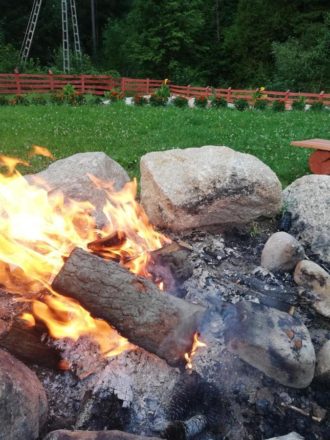 Dziedziniec Karkonoszy Holiday home *