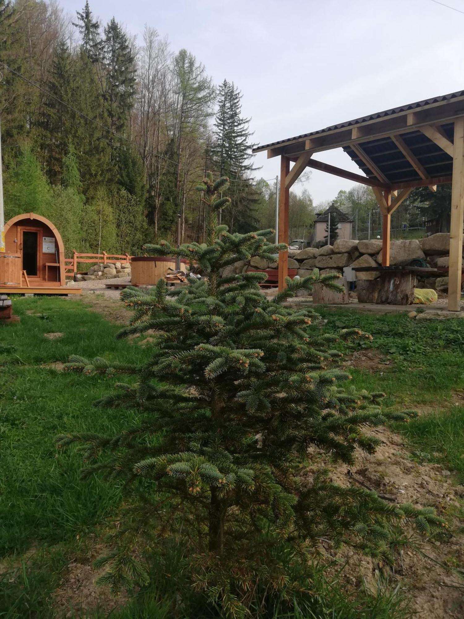 Holiday home Dziedziniec Karkonoszy